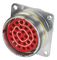CINCH CONNECTIVITY SOLUTIONS BACC63BV18F14P9H