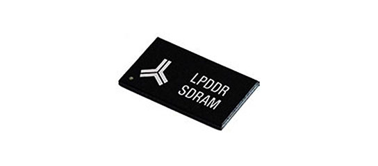 DDR1